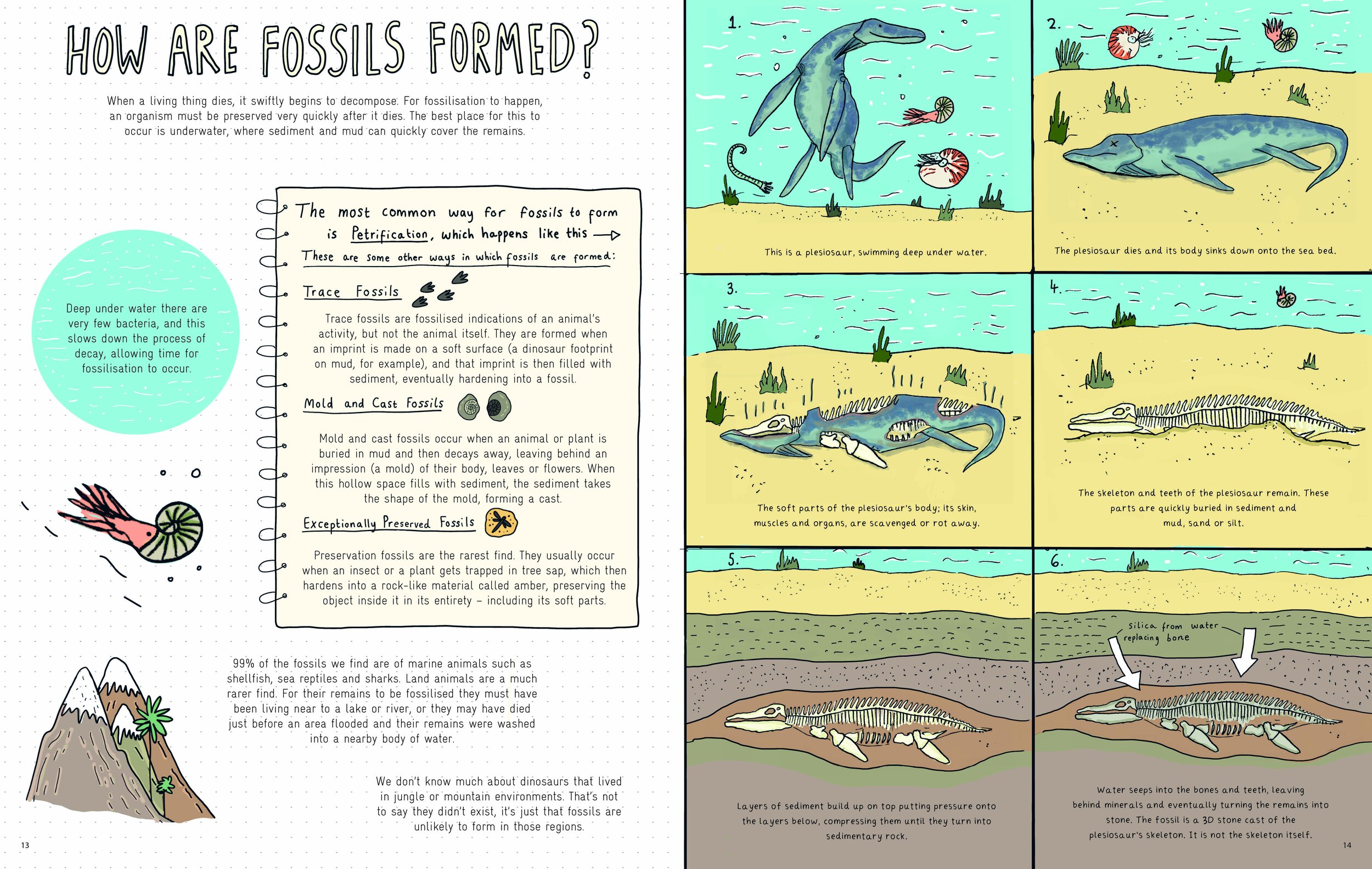 How Fossils Are Made: The Earth’s Natural Time Capsules