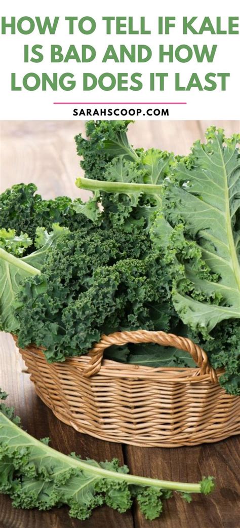 How Long Does Kale Last In Fridge