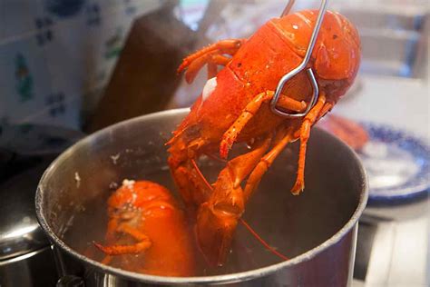 How Long To Boil Lobster