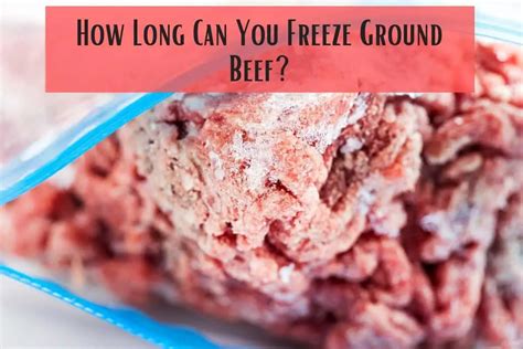 How Long To Freeze Mince Beef