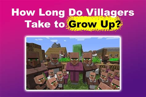 How Long Until Baby Villagers Grow Up