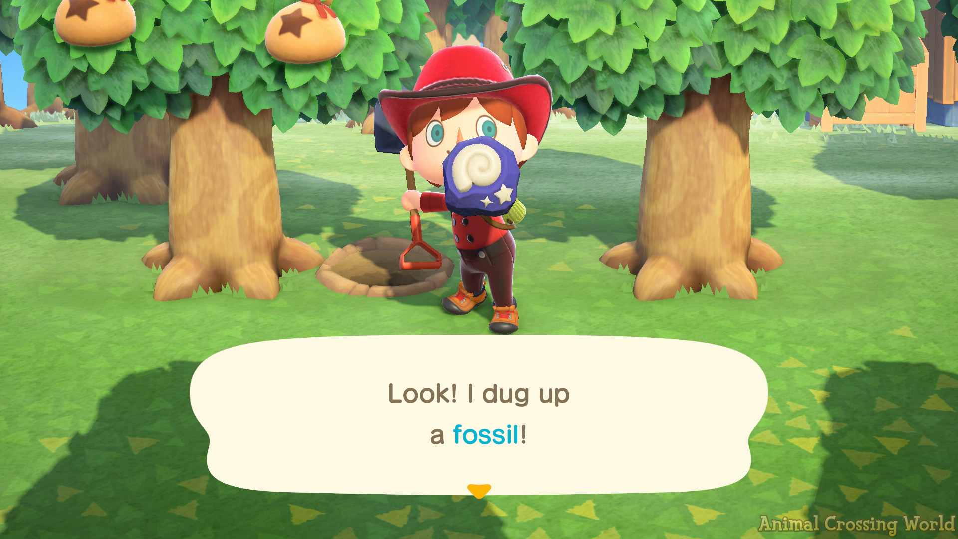 How Many Fossils Per Day In Acnh? Your Daily Excavation Guide