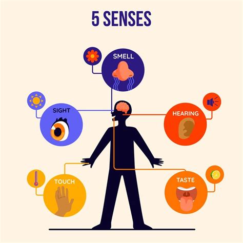 How Many Senses Do We Have