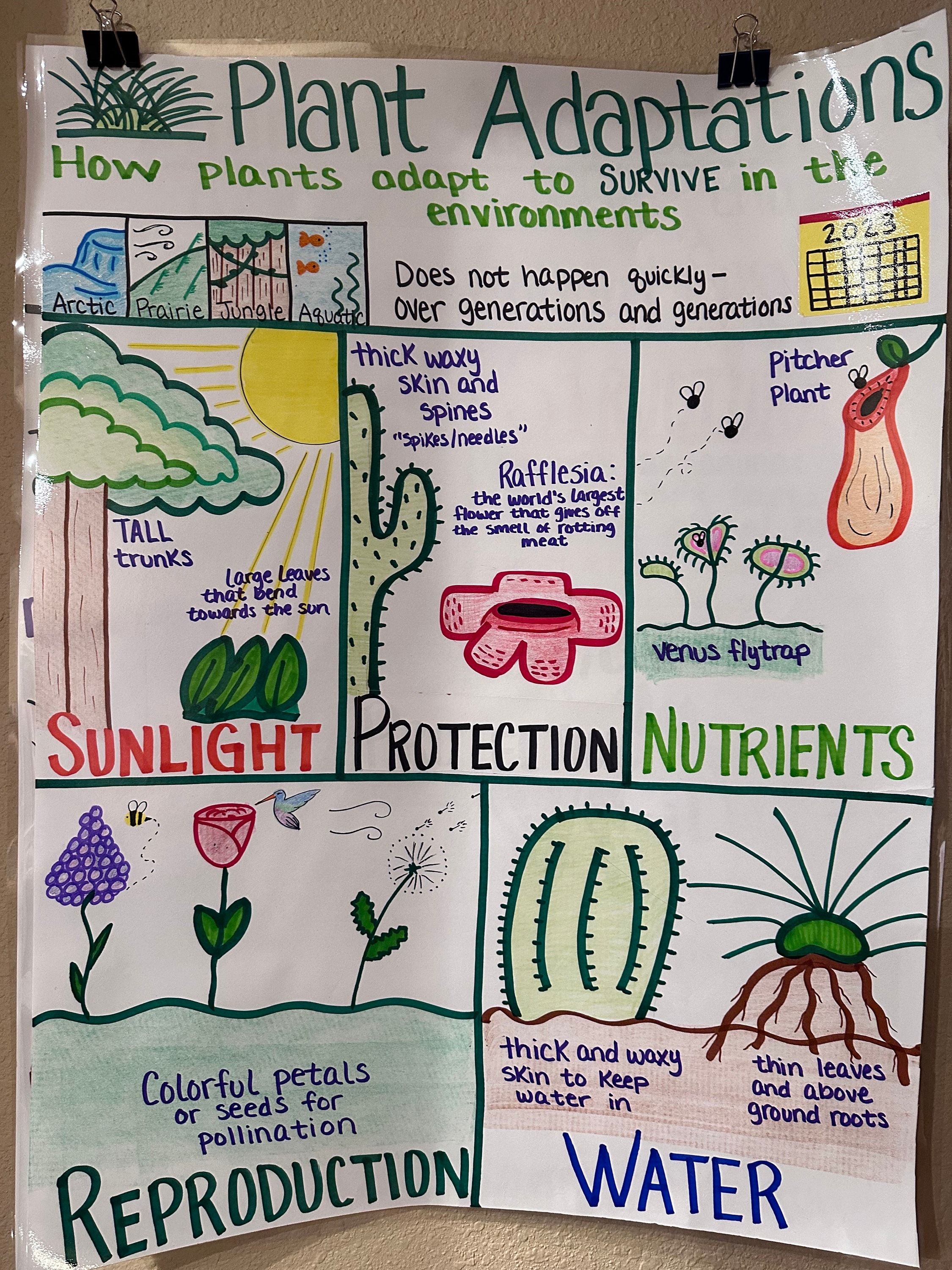 Survival Secrets: How Plants Adapt To Their Environment