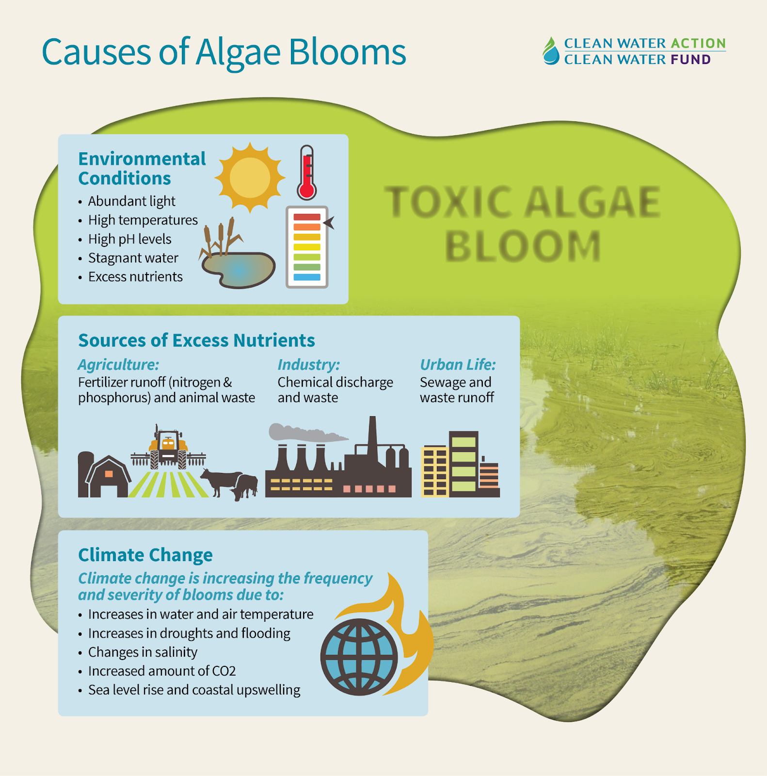 The Science Behind How Plants Bloom And What Triggers Them