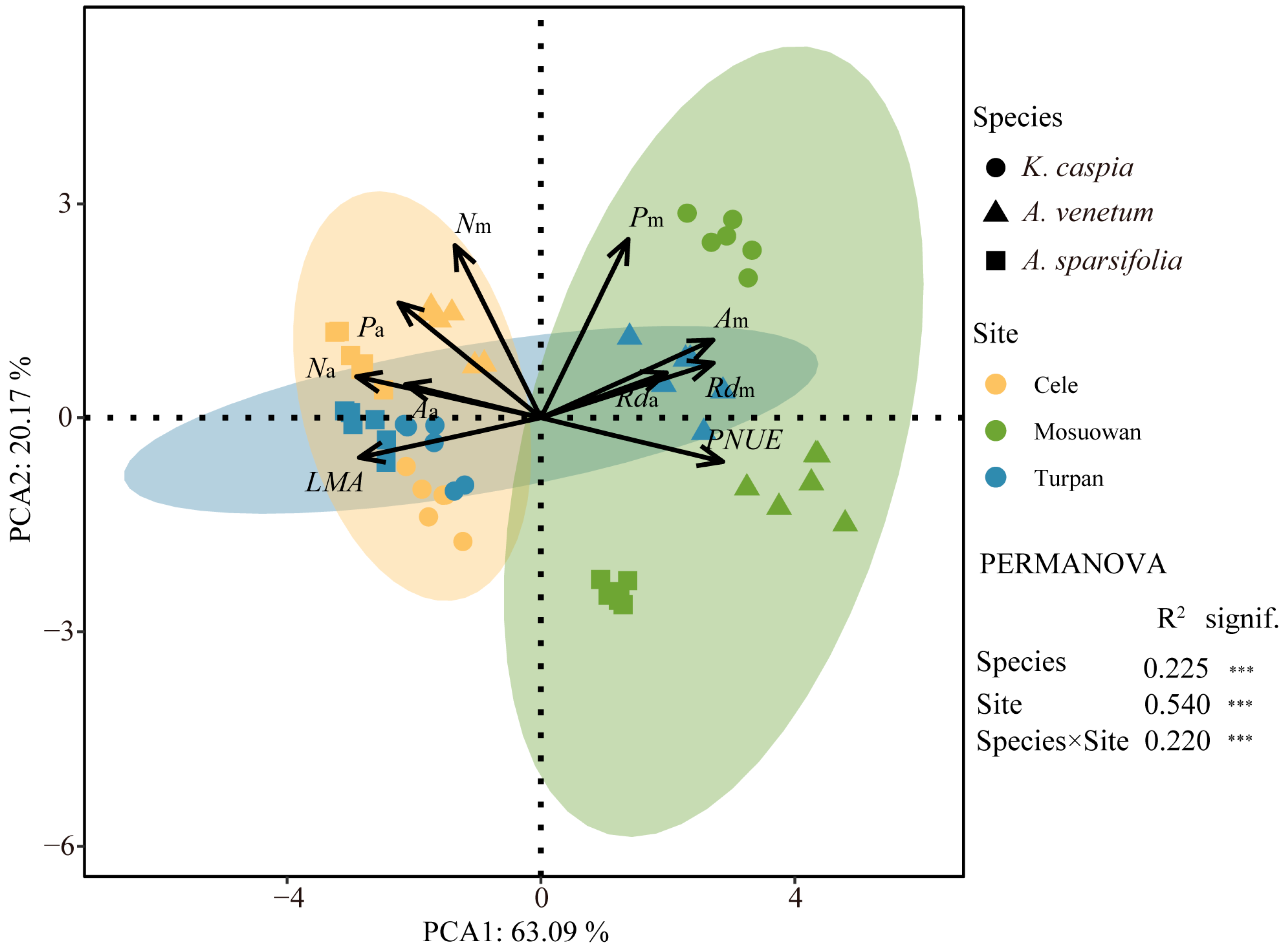 How Plants Contribute To Economic Growth: The Hidden Drivers