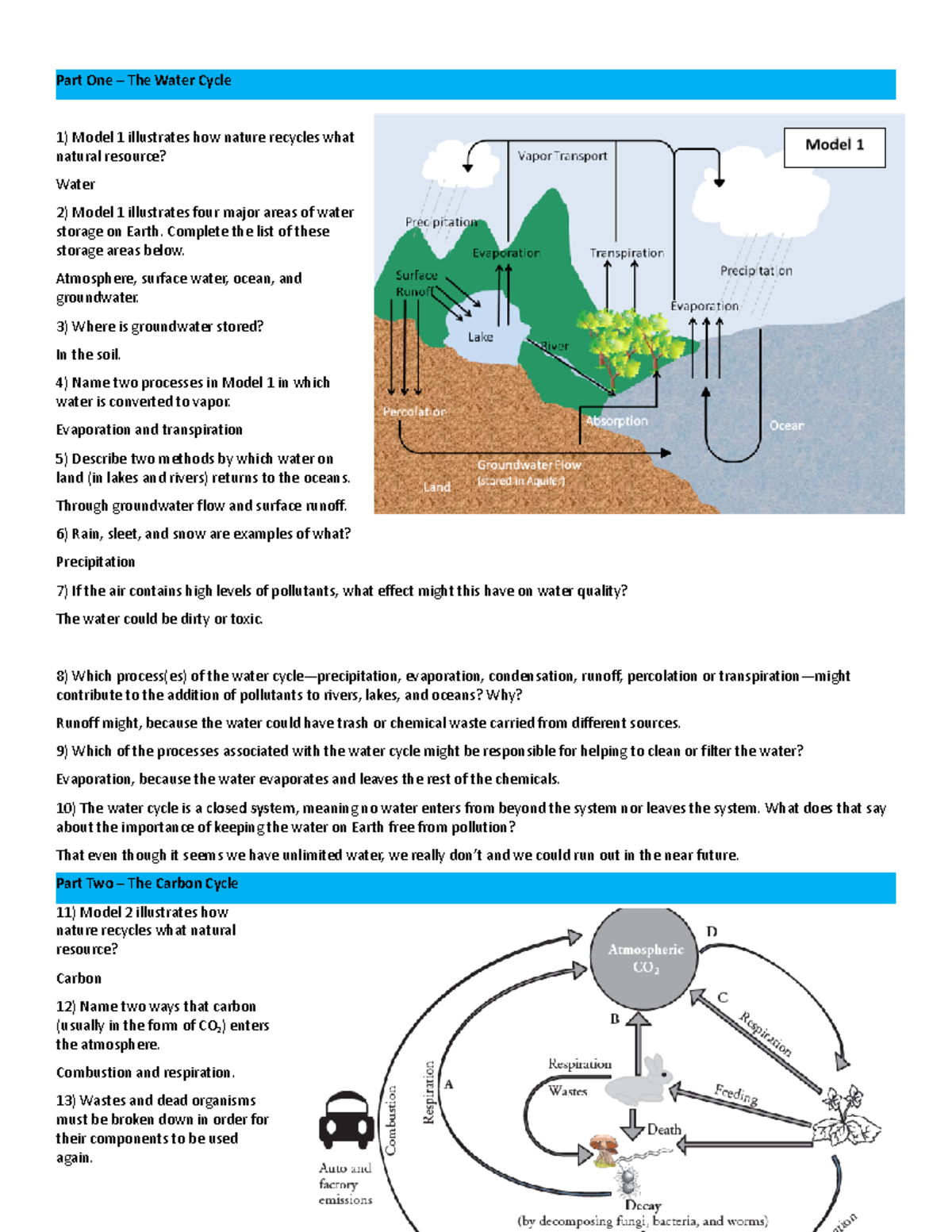 How Plants Contribute To The Water Cycle: A Natural Guide