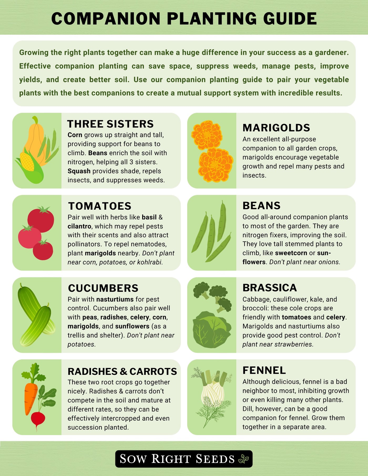 Downloadable Guide: How Plants Grow Pdf For Students And Hobbyists