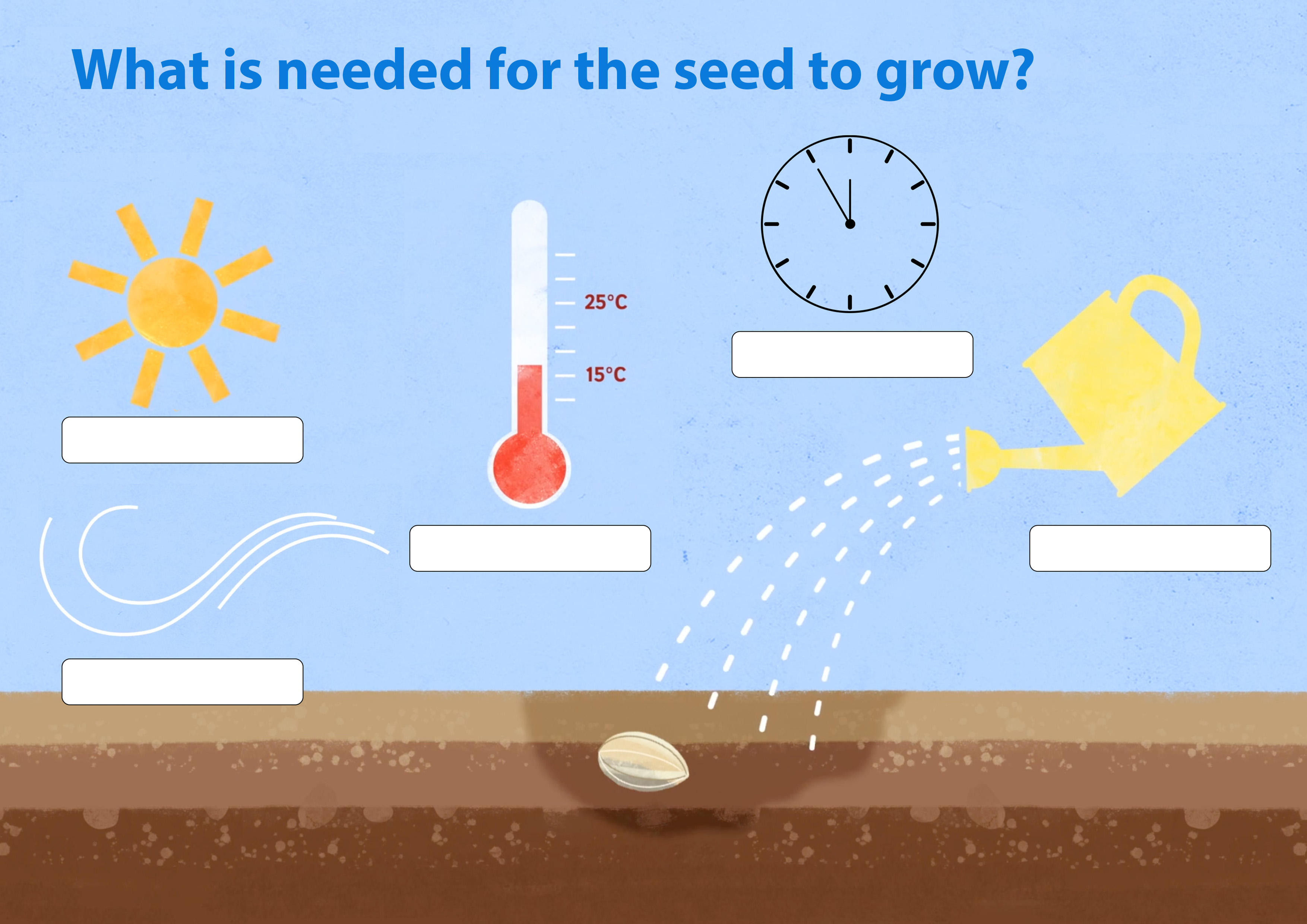 The Science Of How Plants Grow: A Gardener’s Guide