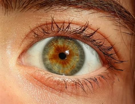 How Rare Is Hazel Eyes