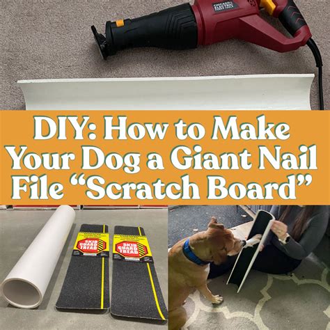 How To Make Dog Scratch Board
