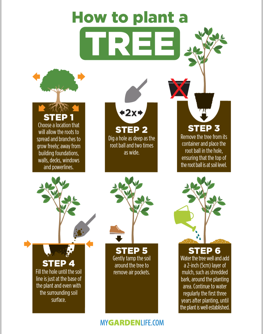 How To Plant Your Xmas Tree For A Greener Garden Landscape