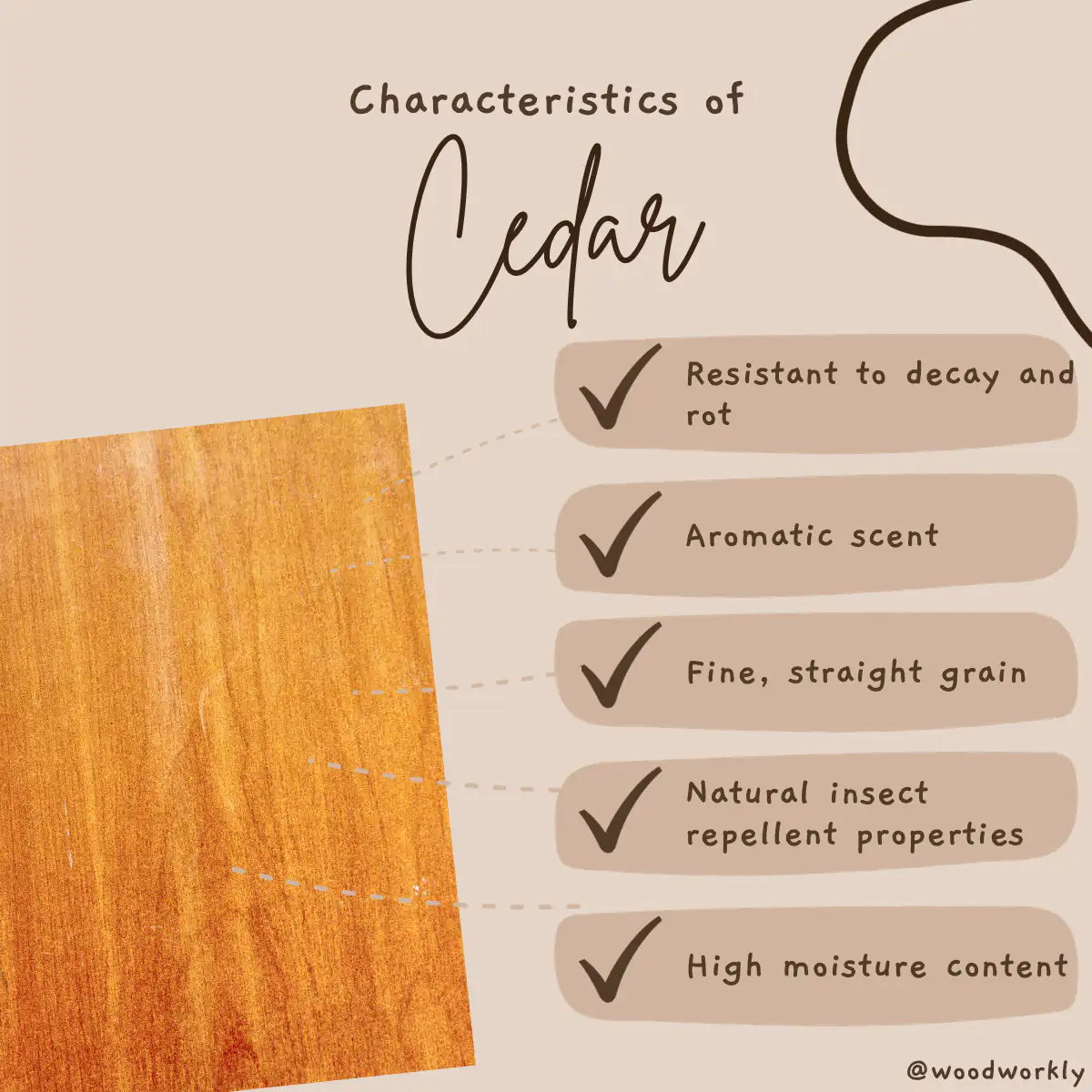 How Weather Resistant Is Fir Wood? A Practical Guide For Homeowners