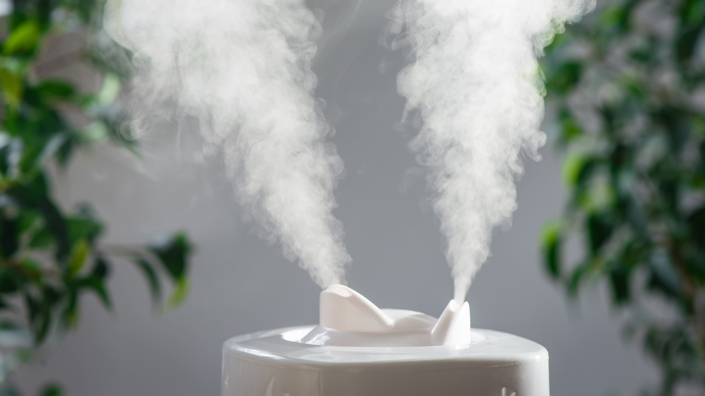 Humidifier For Phlegm In Throat