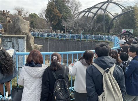 Ichikawa City Zoo Weather