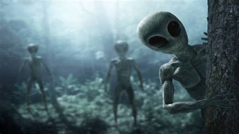 Is It Alien Exist