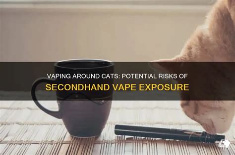 Is It Bad To Vape Around Cats