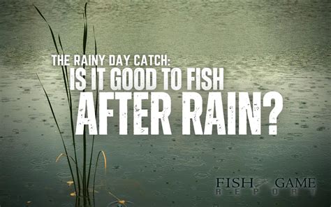 Is It Good To Fish After Rain