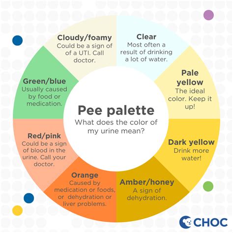 Is It Healthy To Pee A Lot