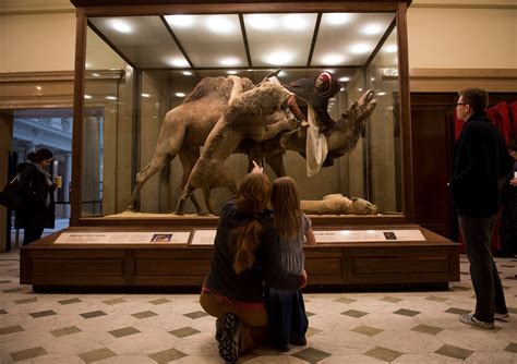 Is It Legal To Taxidermy A Human