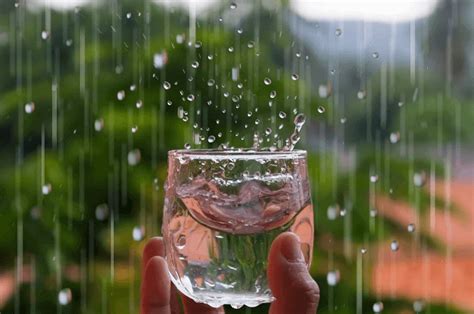 Is It Safe To Drink Rain Water