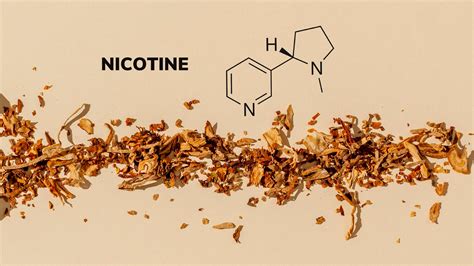 Is There Nicotine In Cigars