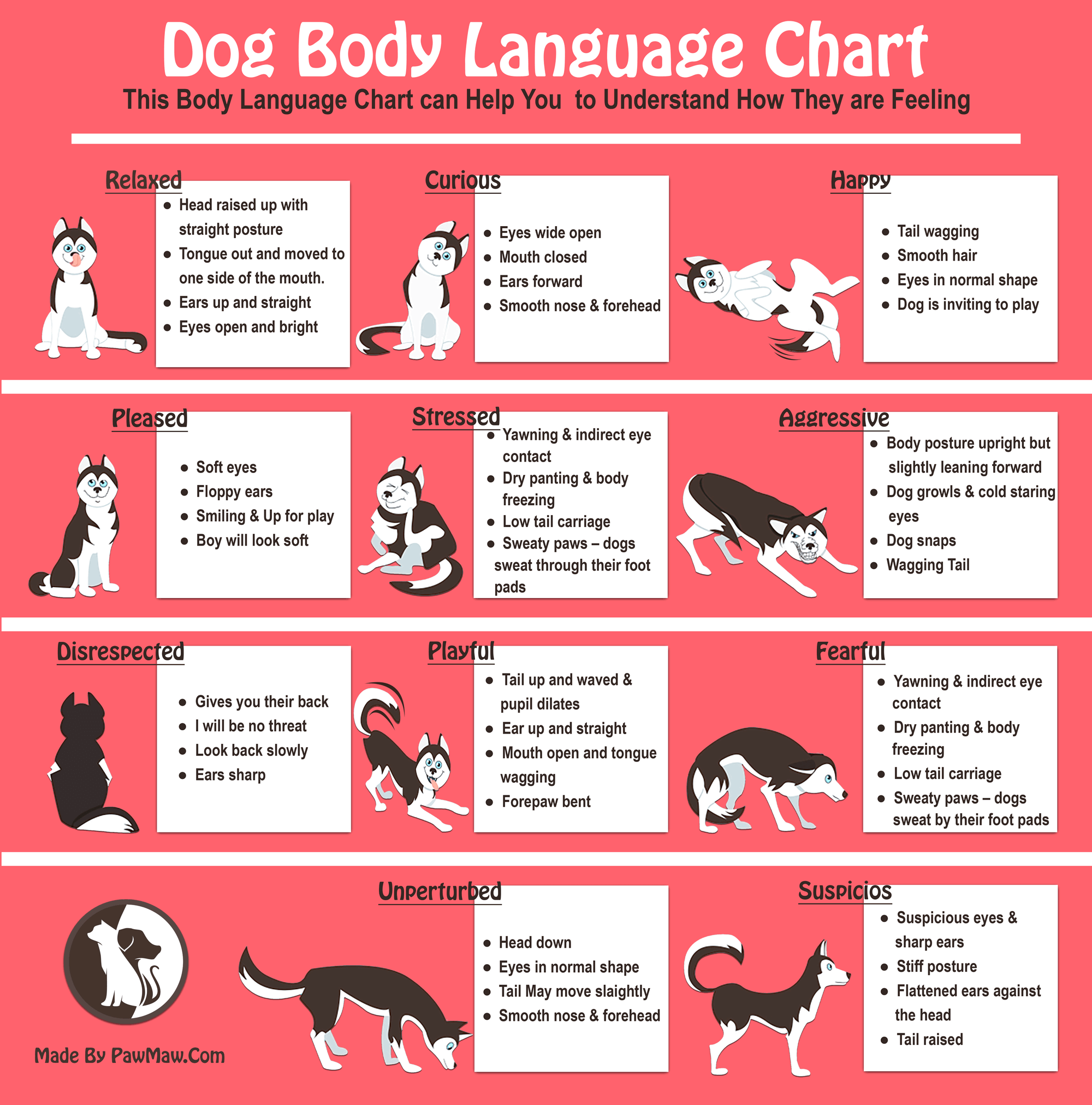 Language Of Un