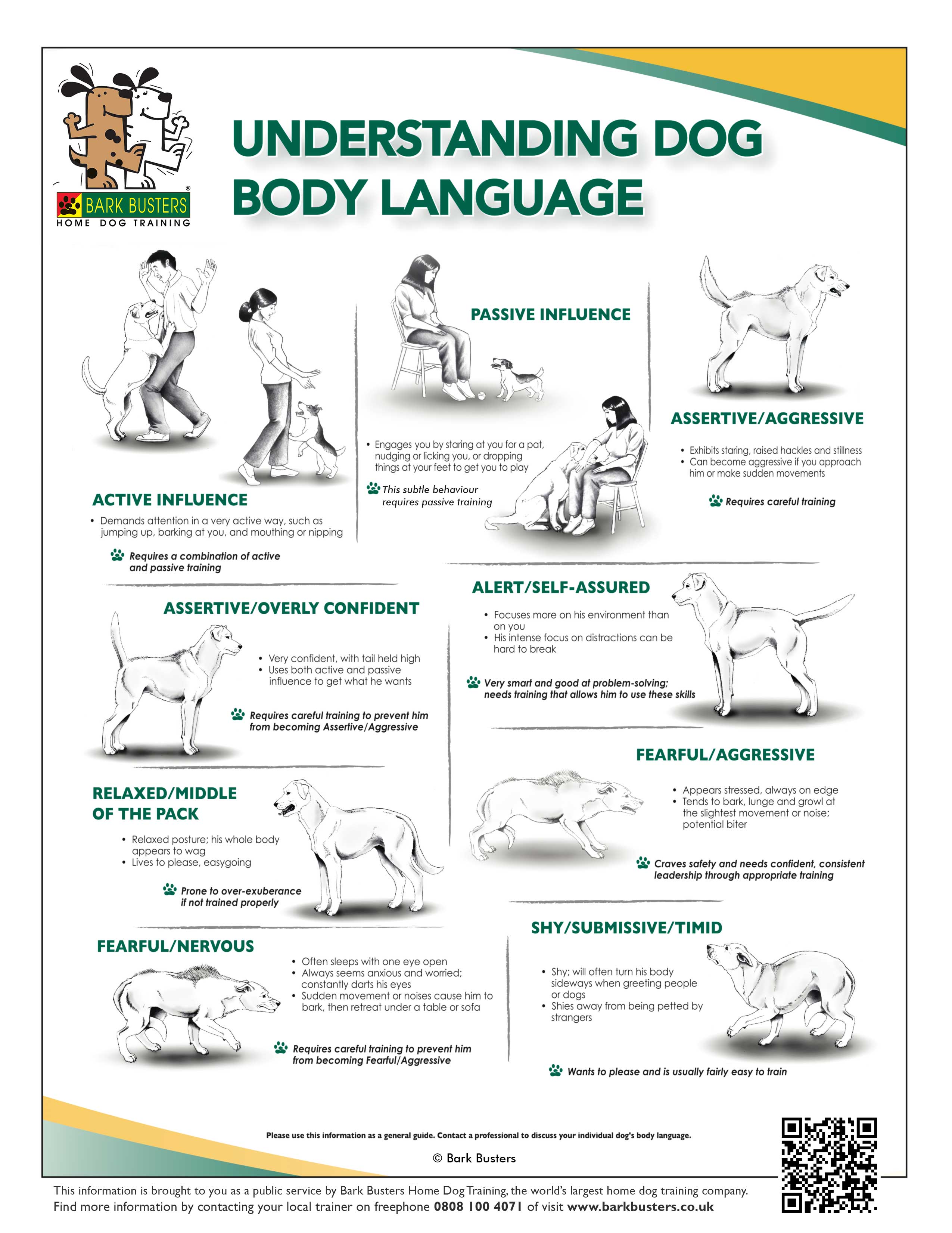 Language Of Zambia