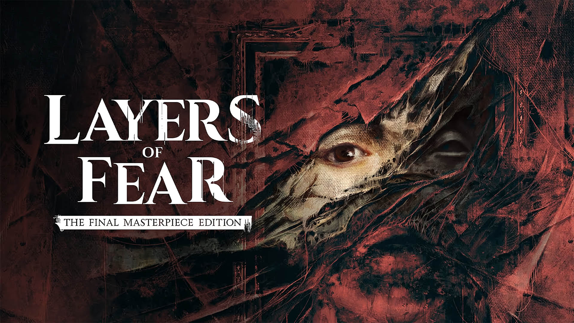 Layers Of Veins And Arteries