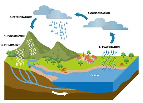 Le Cycle D'Eau