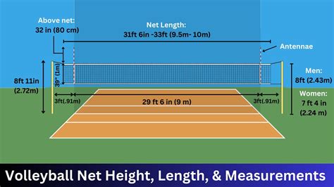 Length Of Volleyball Net