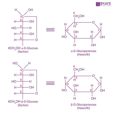 Lglucose Ring Structure