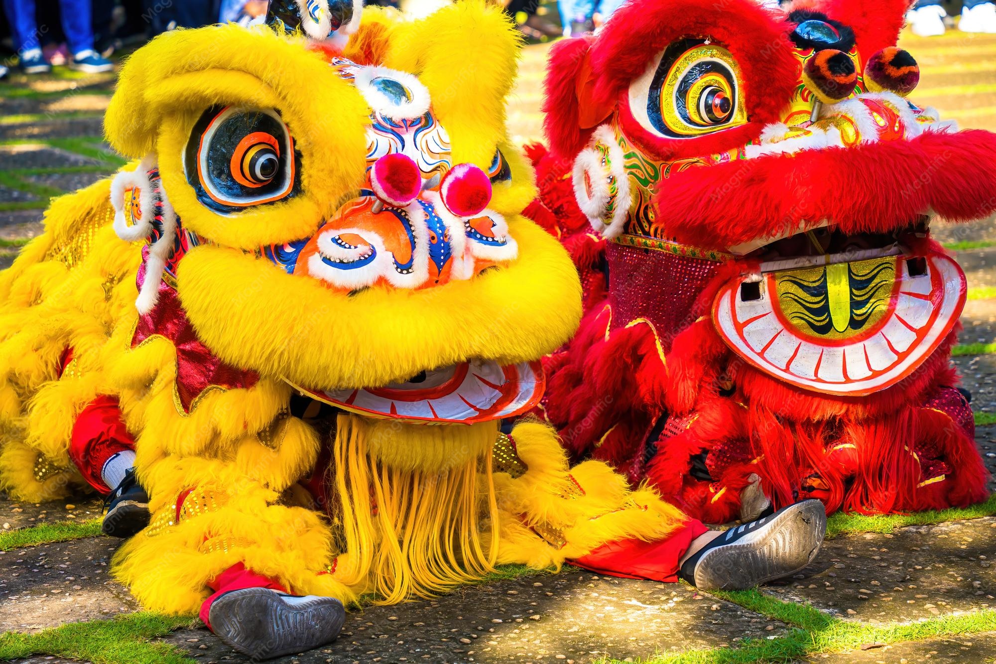 Lion Face Plastic Surgery