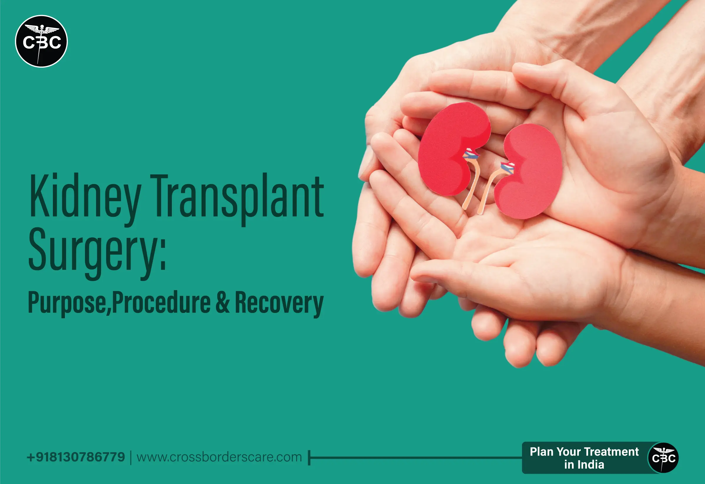 Longitudinal Section Of Flower