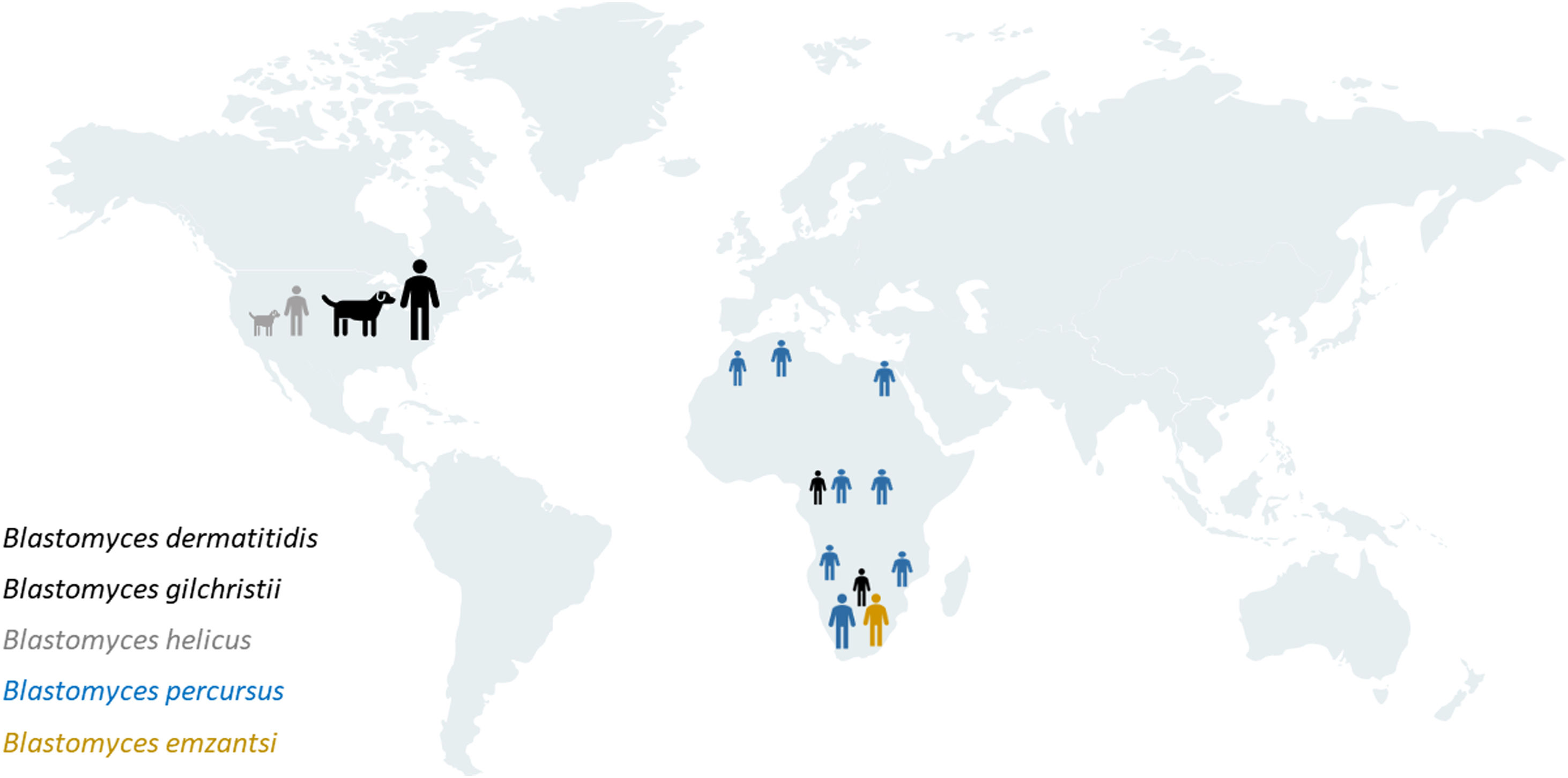 Mali Country Religion Percentage