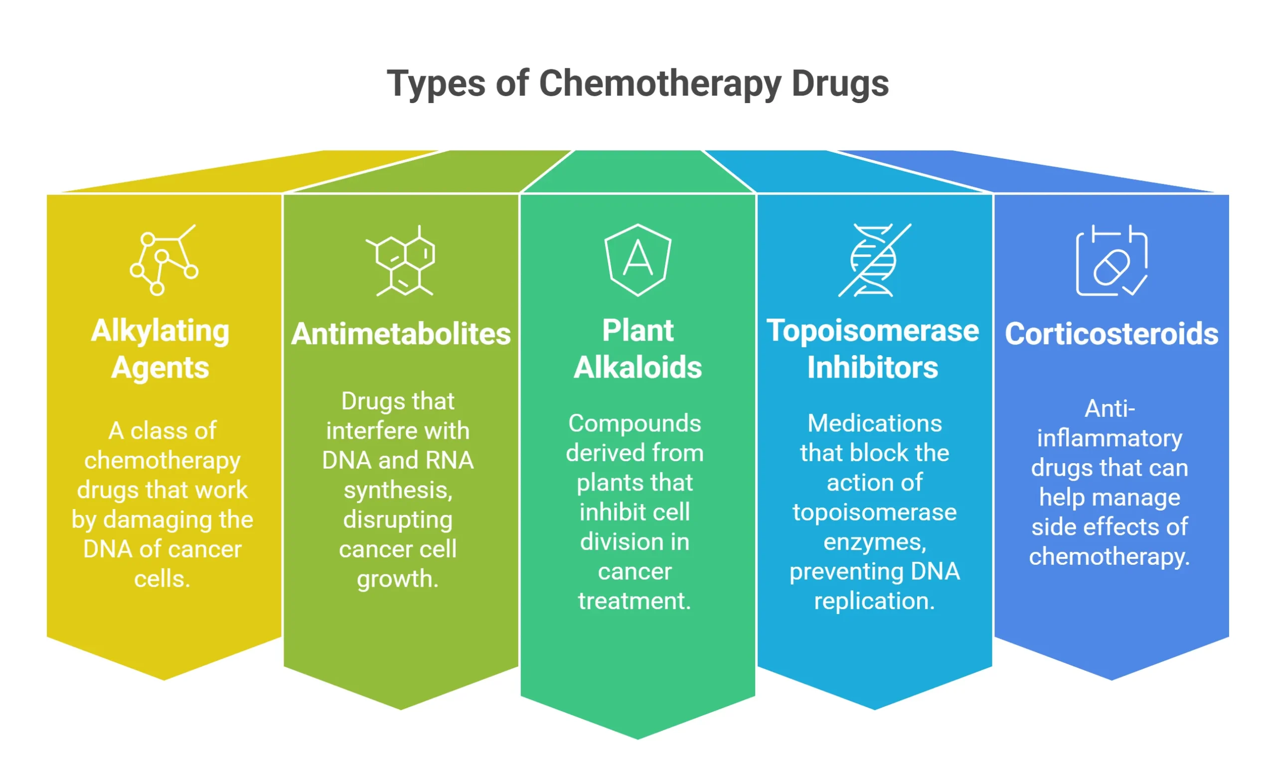 Understanding The Most Toxic Chemotherapy Drugs In 2026