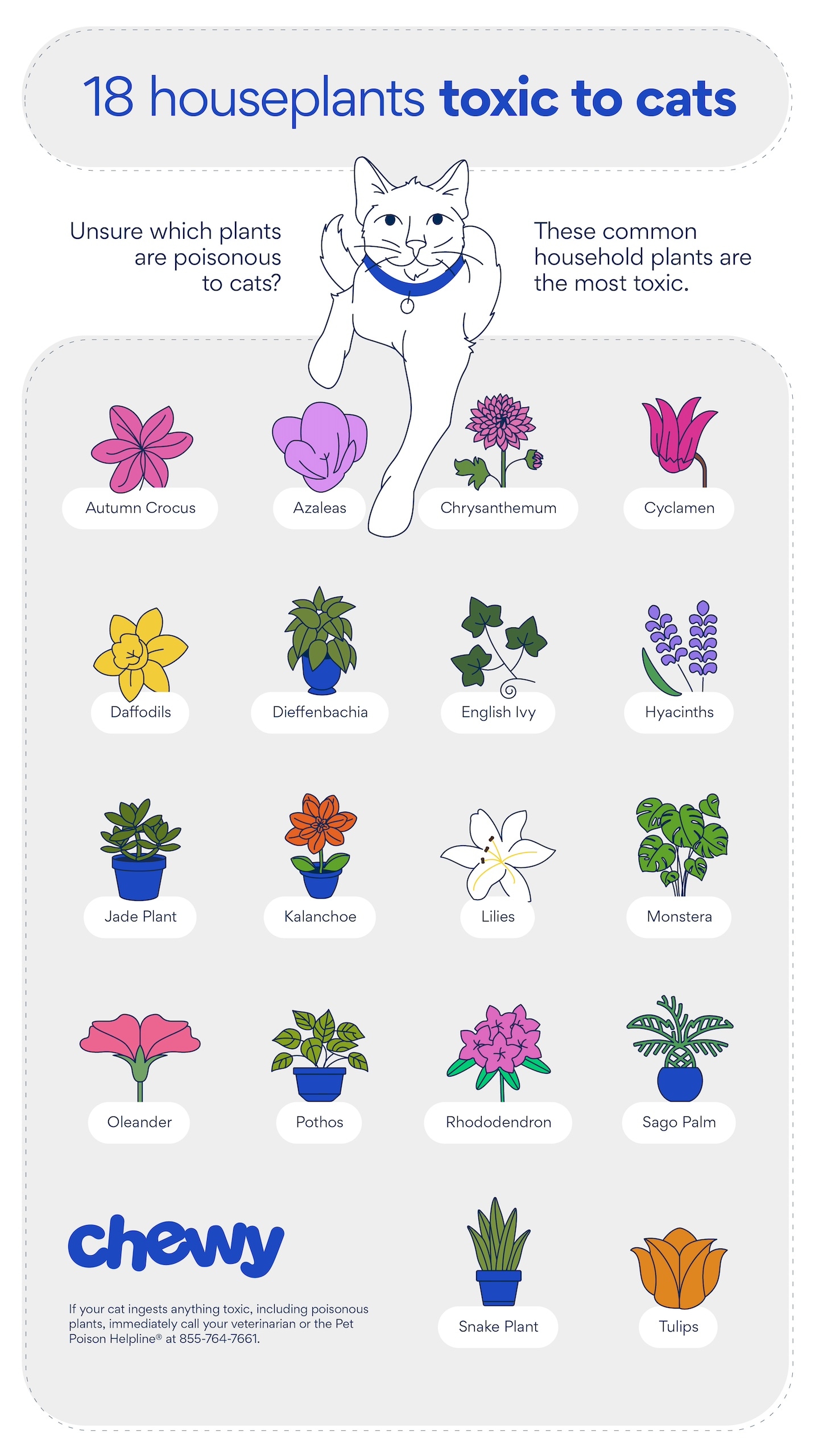 10 Most Toxic Indoor Plants For Cats Every Owner Should Avoid
