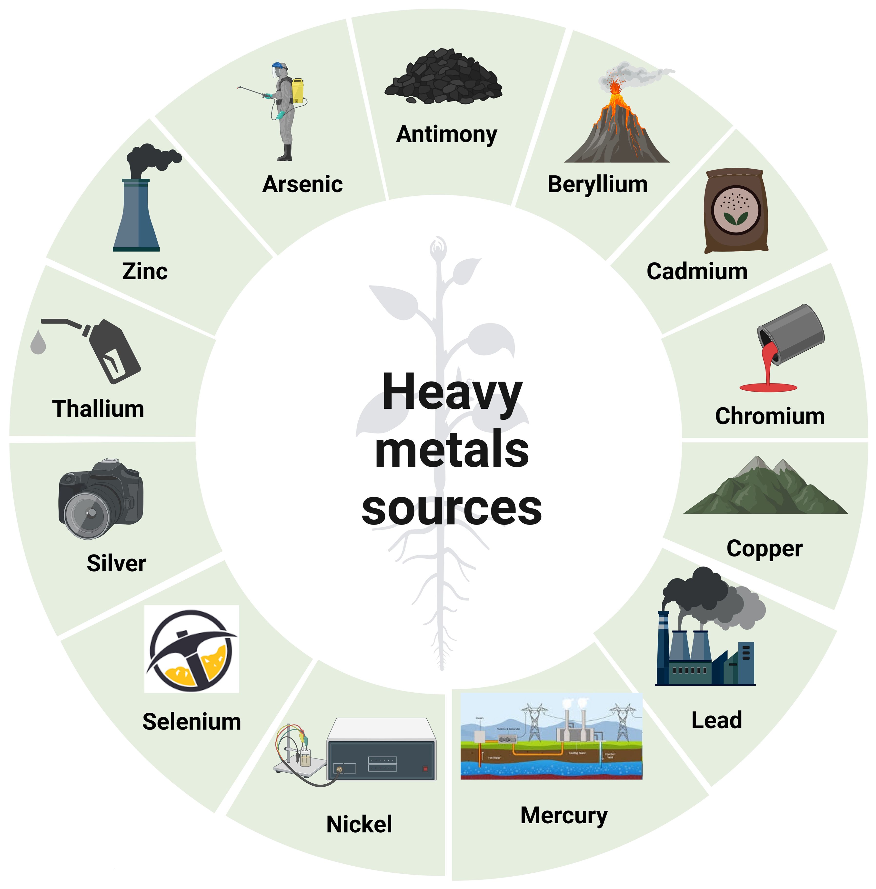 Beyond Mercury: Identifying The Most Toxic Metal In The World