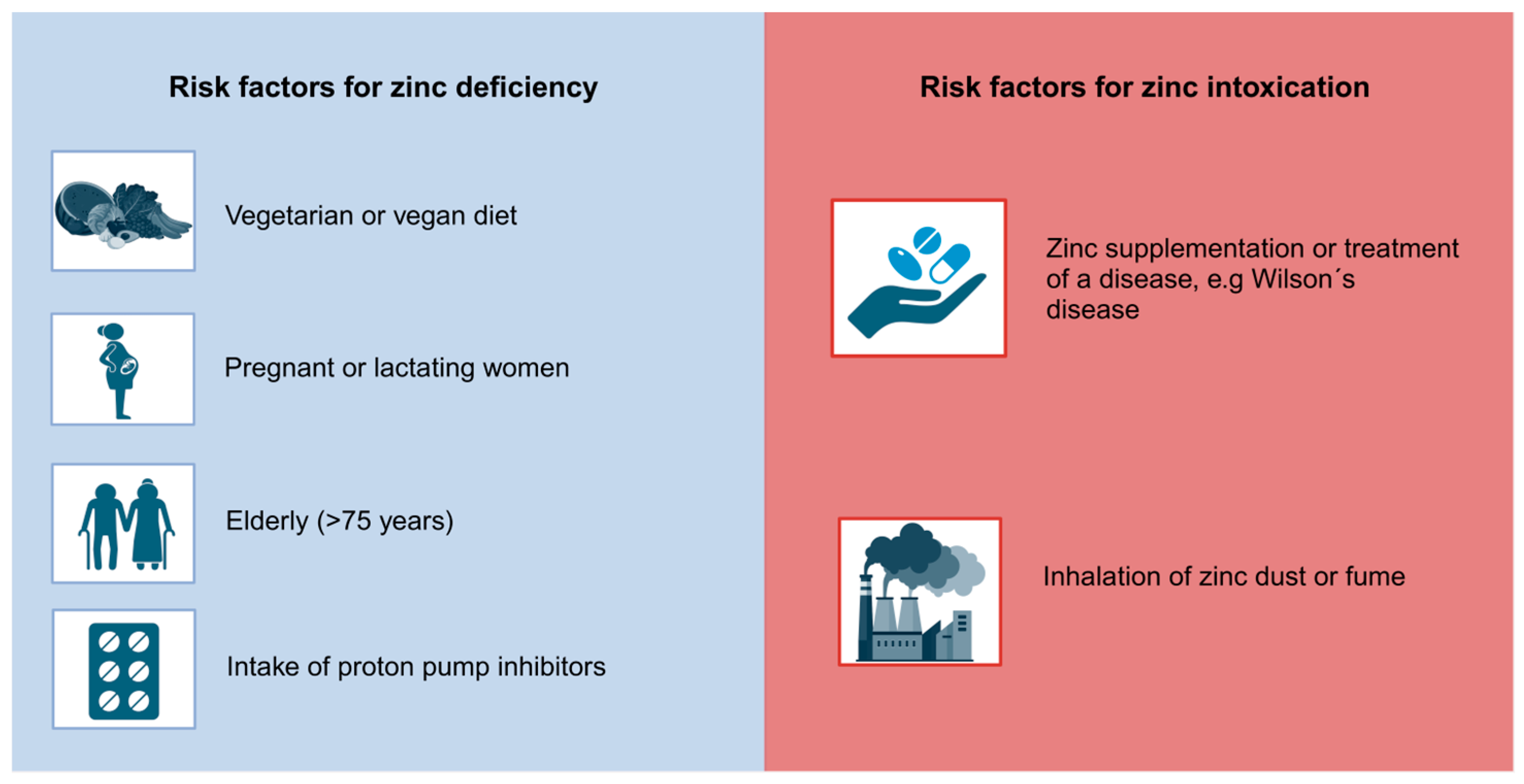 Too Much Of A Good Thing: The Negative Effects Of Zinc Overdose