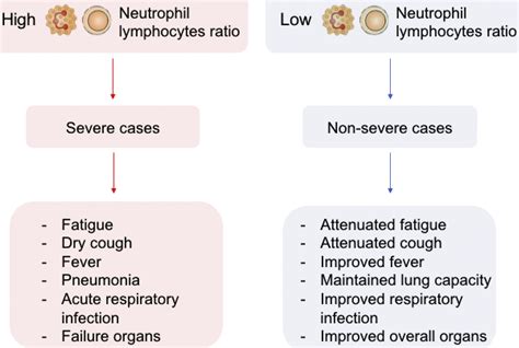 Neutrophils High Means