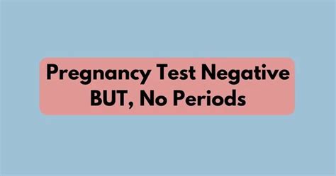 No Period Negative Test Pregnancy