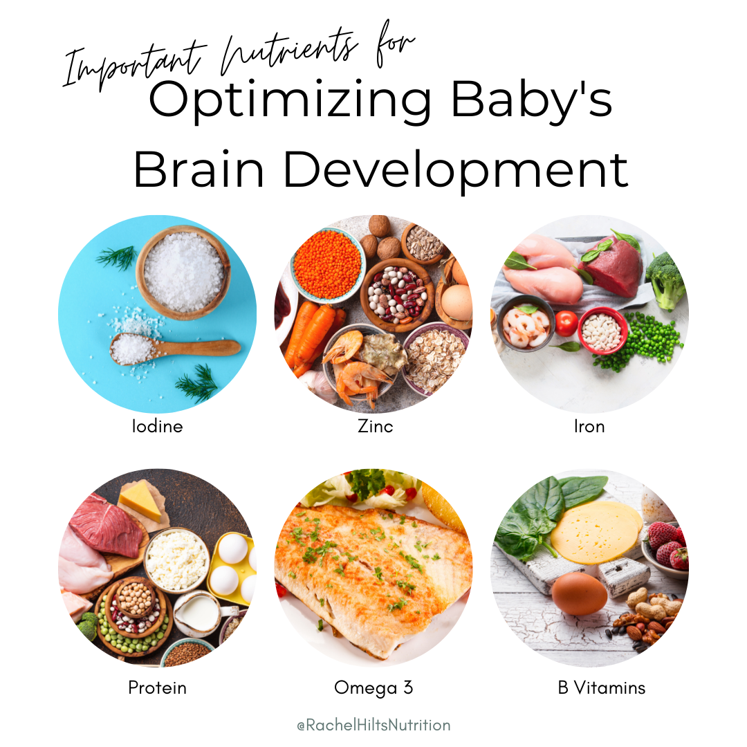 Essential Nutrients Required For Brain Development In Children