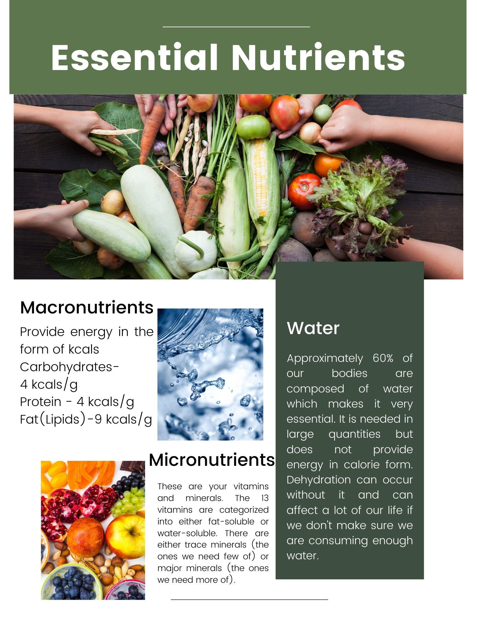 Essential Nutrients Required For Growth And Repair In 2026