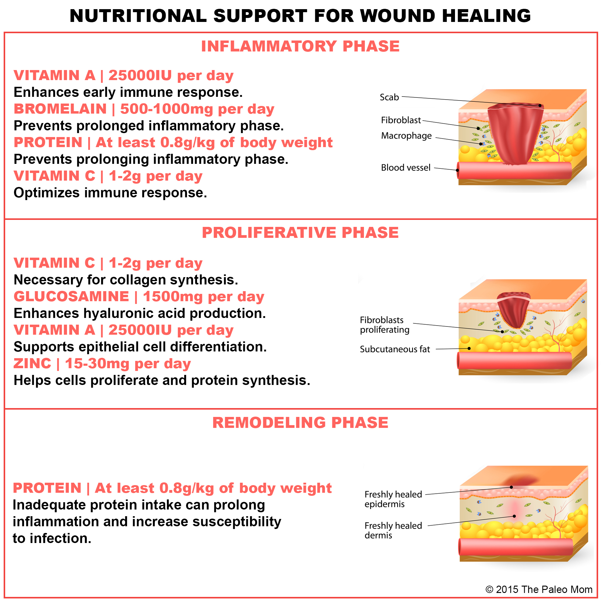 Essential Nutrients Required For Wound Healing: A Complete Guide