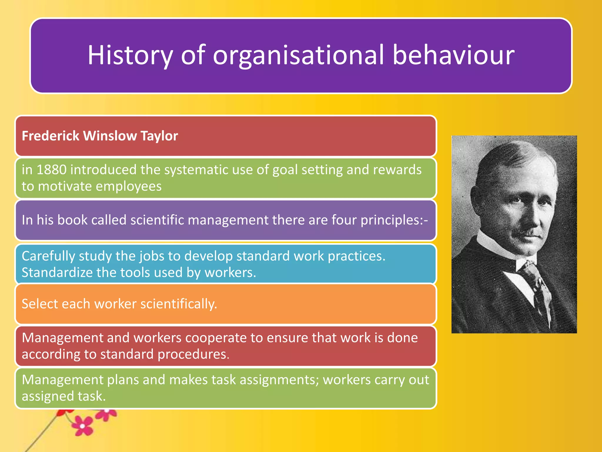 Organizational Structure Design