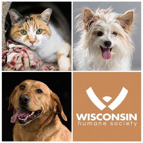 Ozaukee County Humane Society