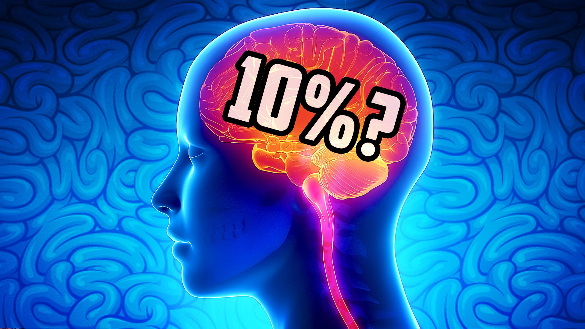 Percentage Formula N And F