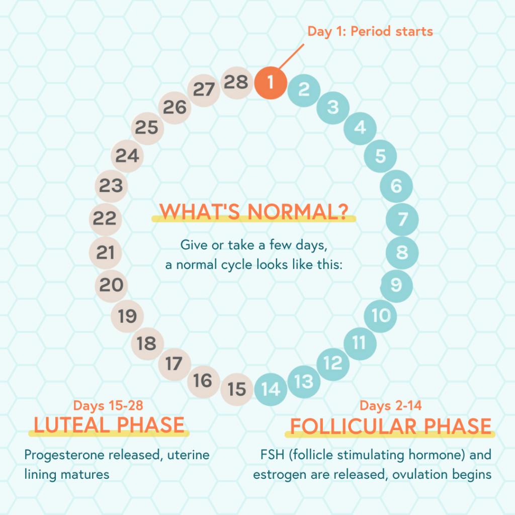 Phases Of Recovery