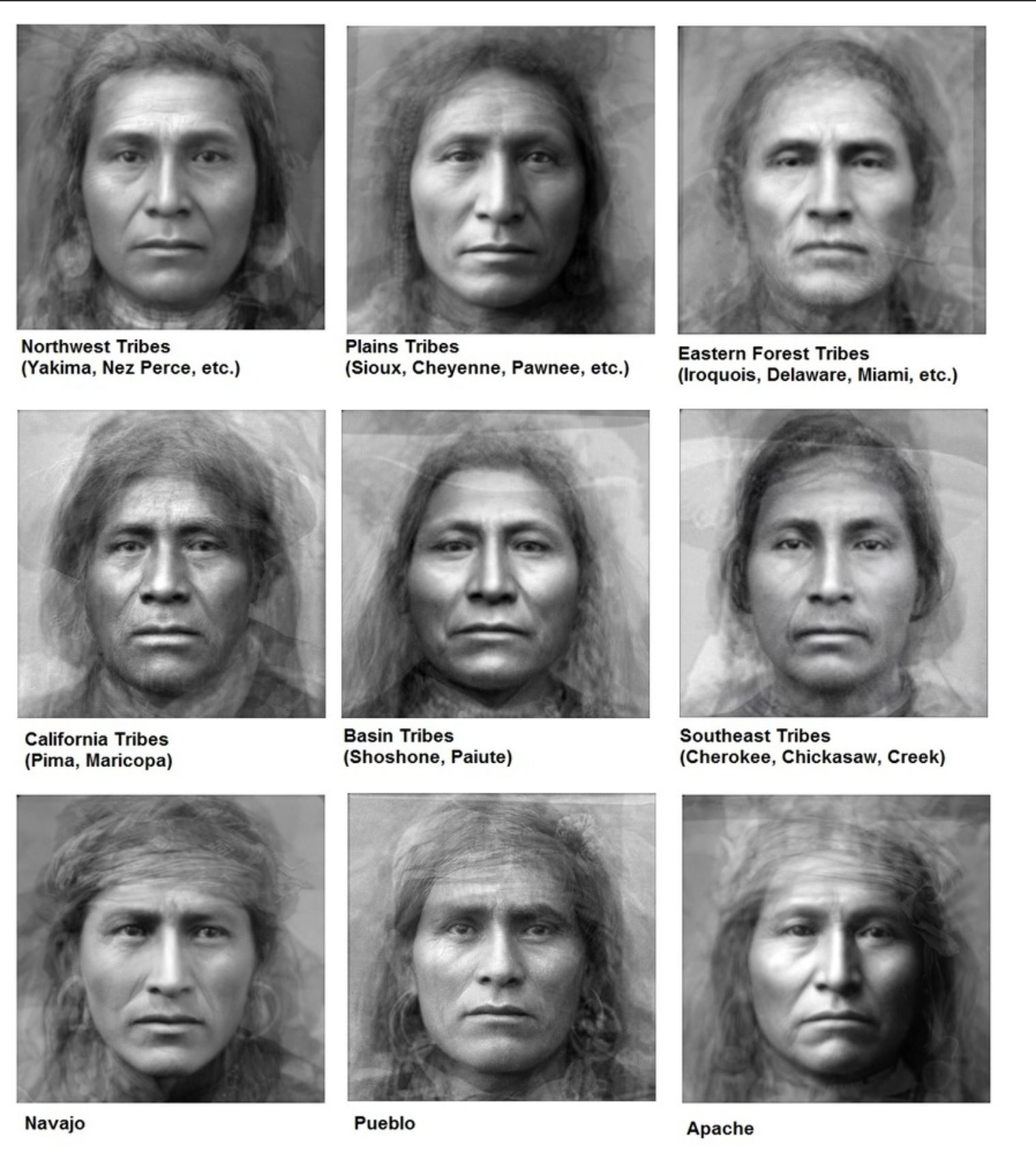 Understanding The Physical Characteristics Of Cherokee Indians