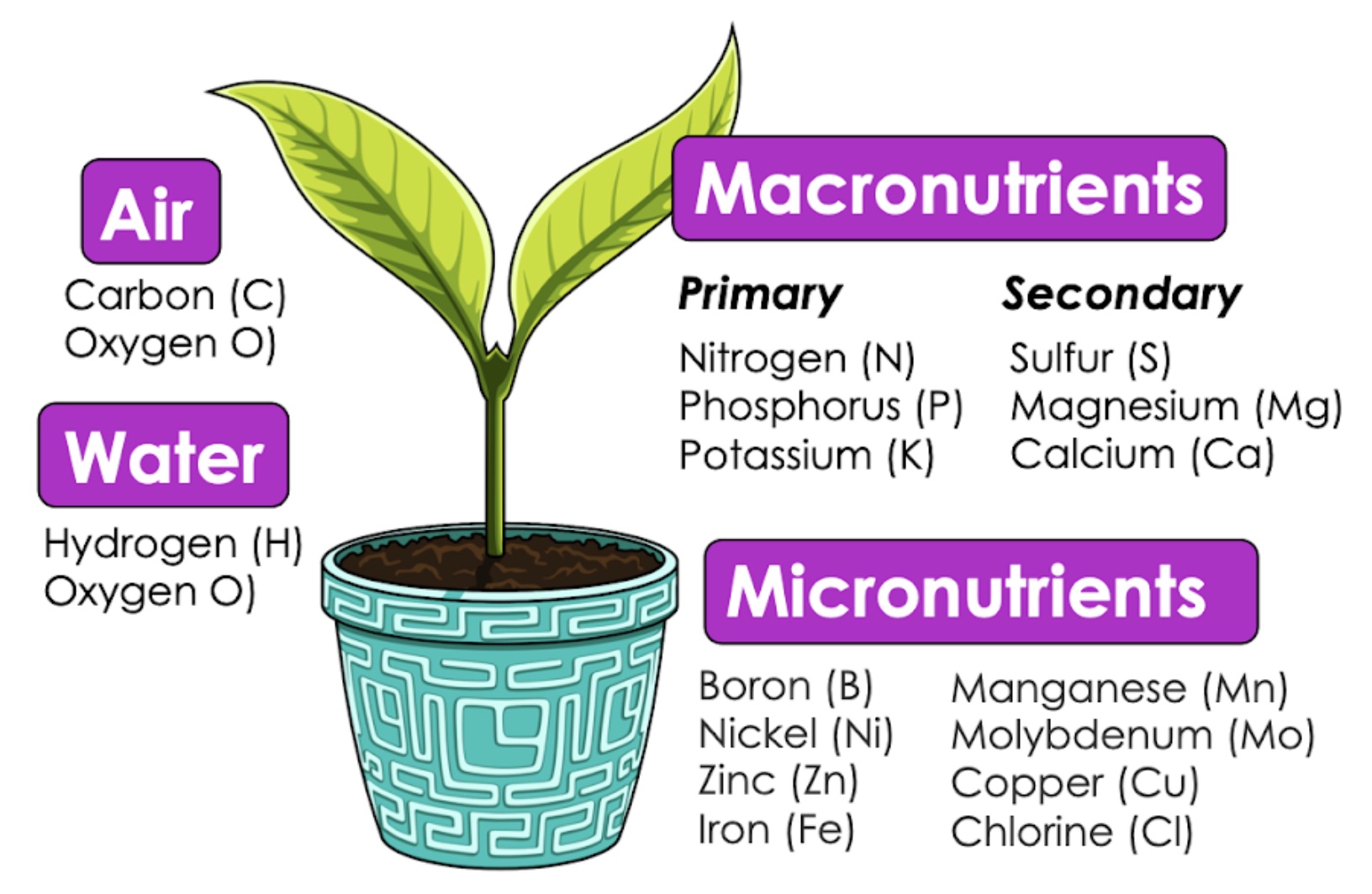 Understanding The Physical Characteristics Of Inorganic Plant Nutrients